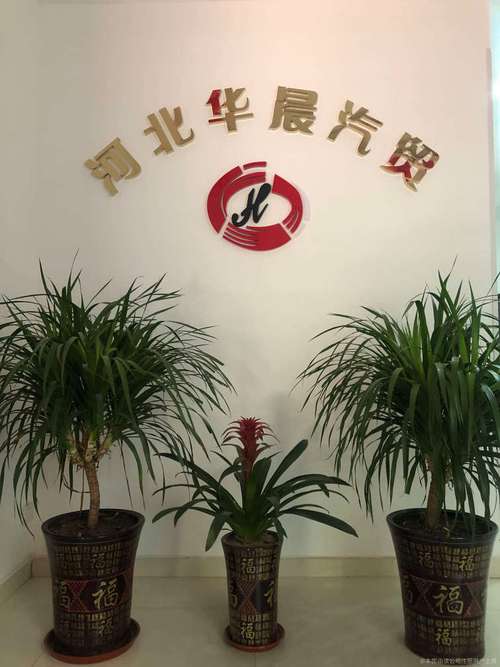 九座以上乘用车销售策略与市场分析 超越传统汽车销售的新蓝海